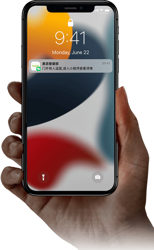 c01 pro